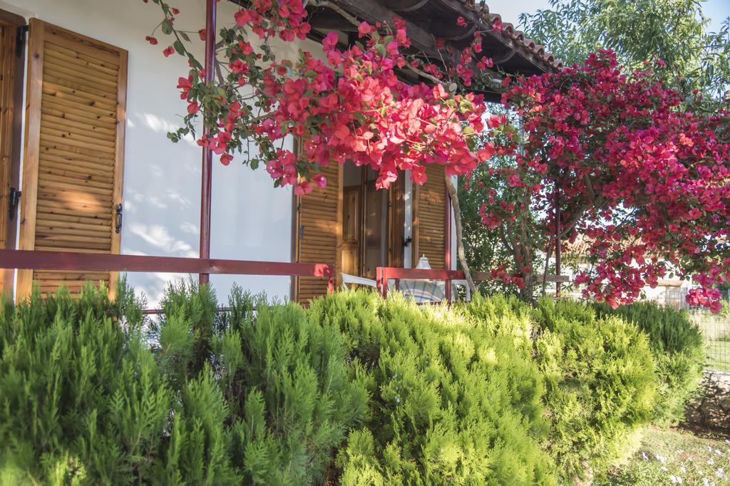Villa Demetra Mytikas  Exterior foto